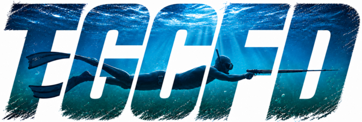 tweedgoldcoastfreedivers