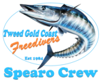 tweedgoldcoastfreedivers