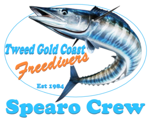 tweedgoldcoastfreedivers